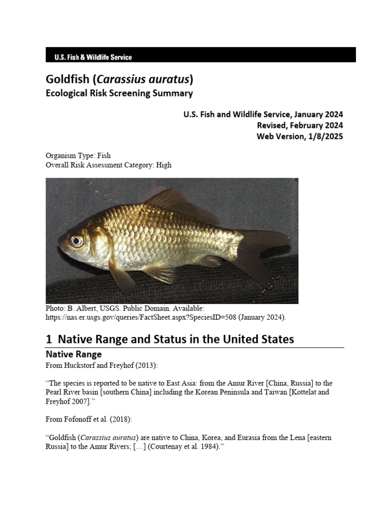 Ecological Risk Screening Summary Goldfish | PDF | Fish