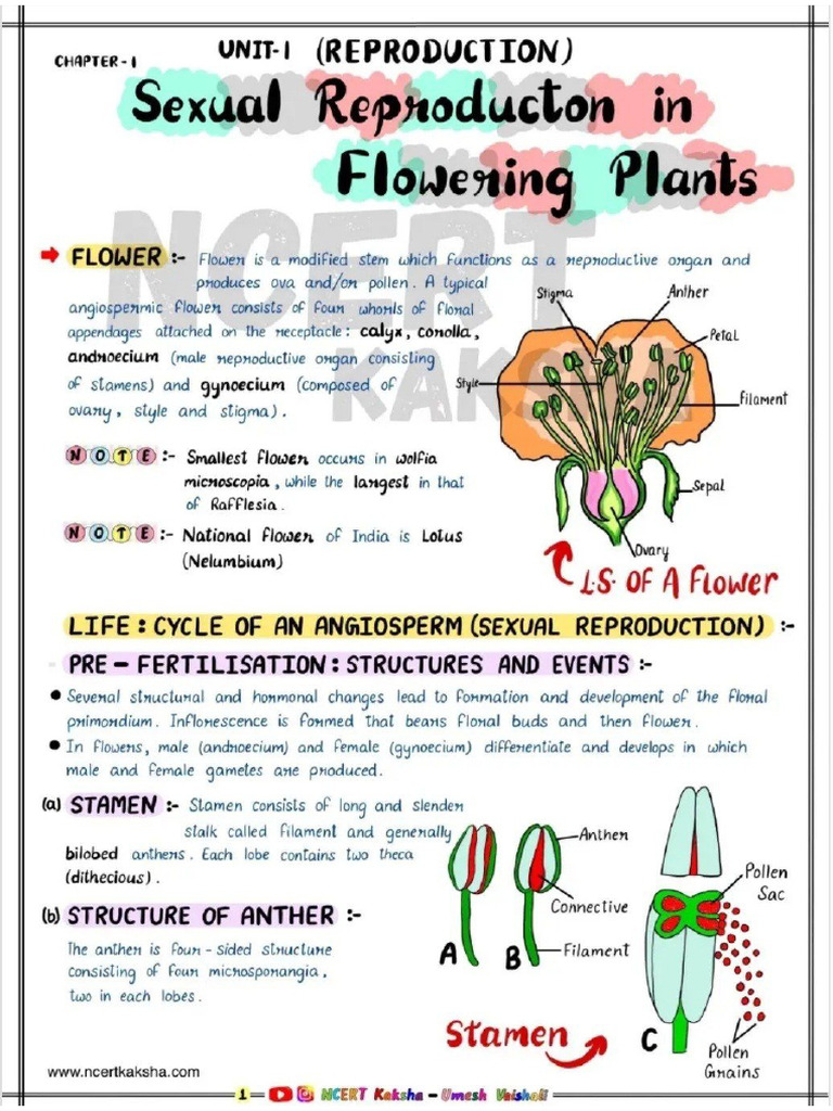 Ch-1 Sexual Reproduction in Flowering Plants | PDF