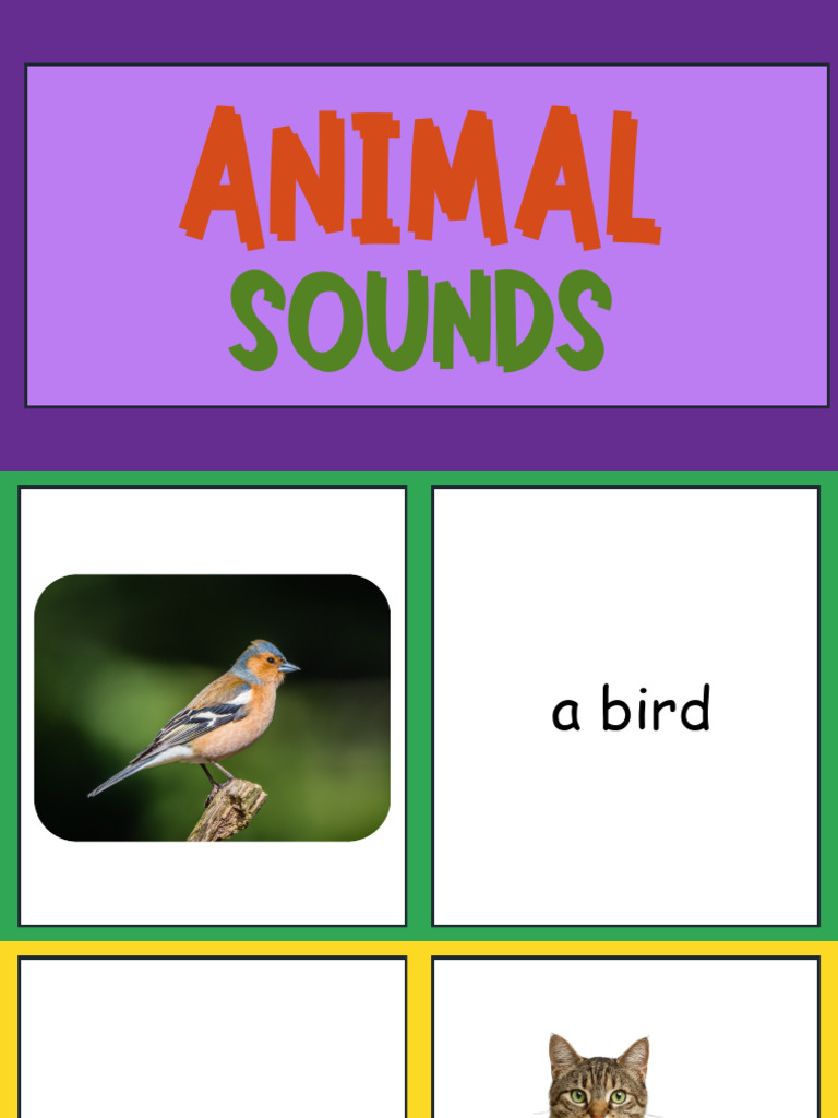 Animal Sounds | PDF