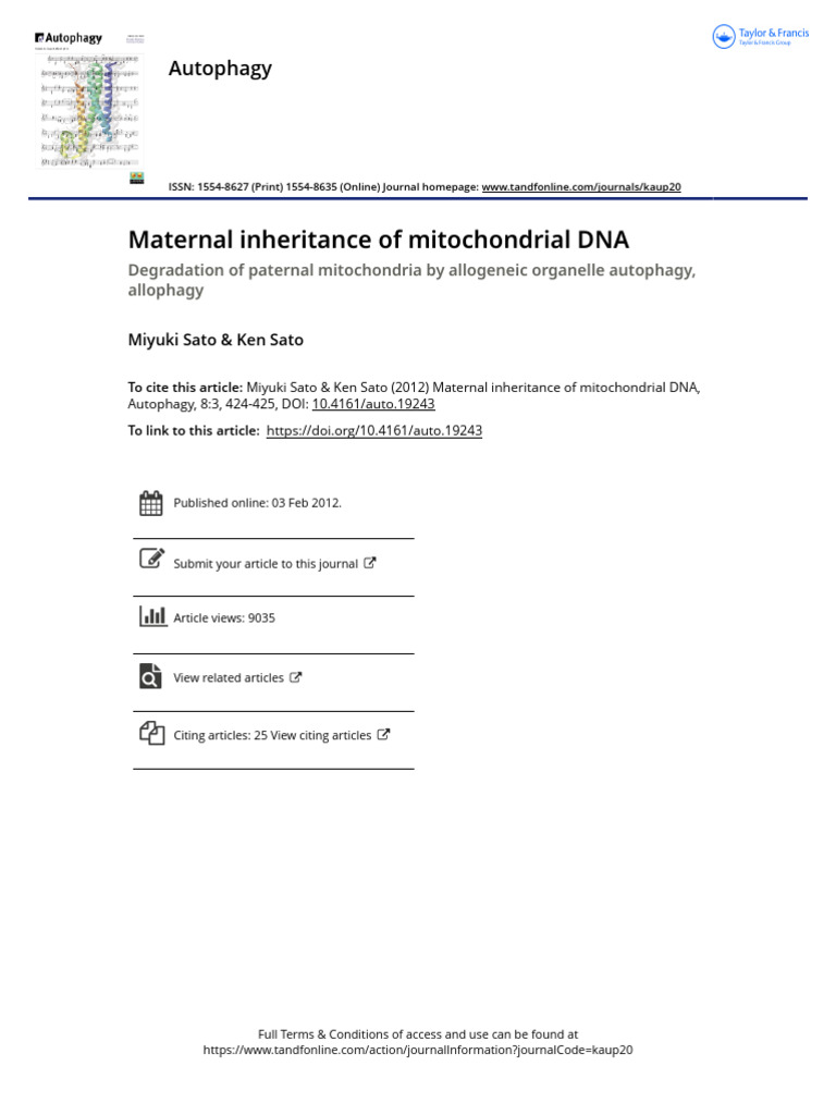 Maternal Inheritance of Mitochondrial DNA | PDF | Autophagy | Mitochondrion