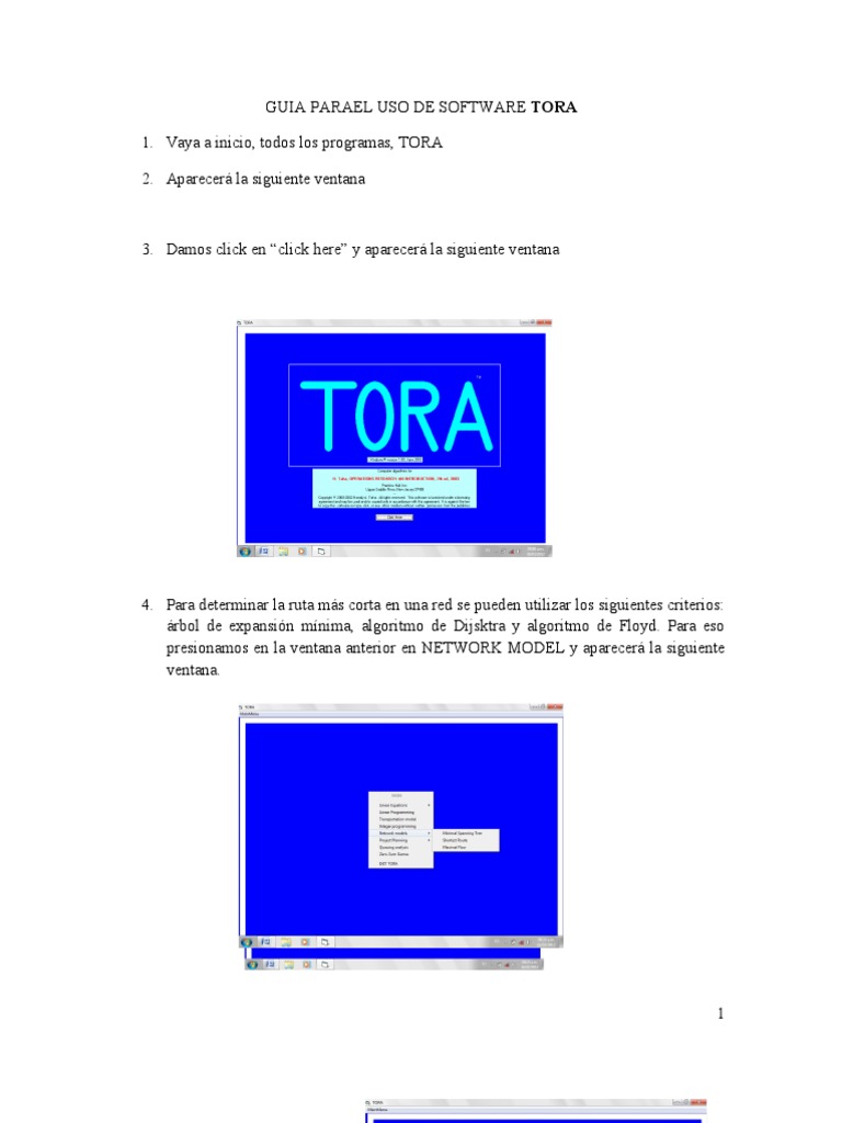 Guia Parael Uso de Software Tora PDF Iteración Algoritmos
