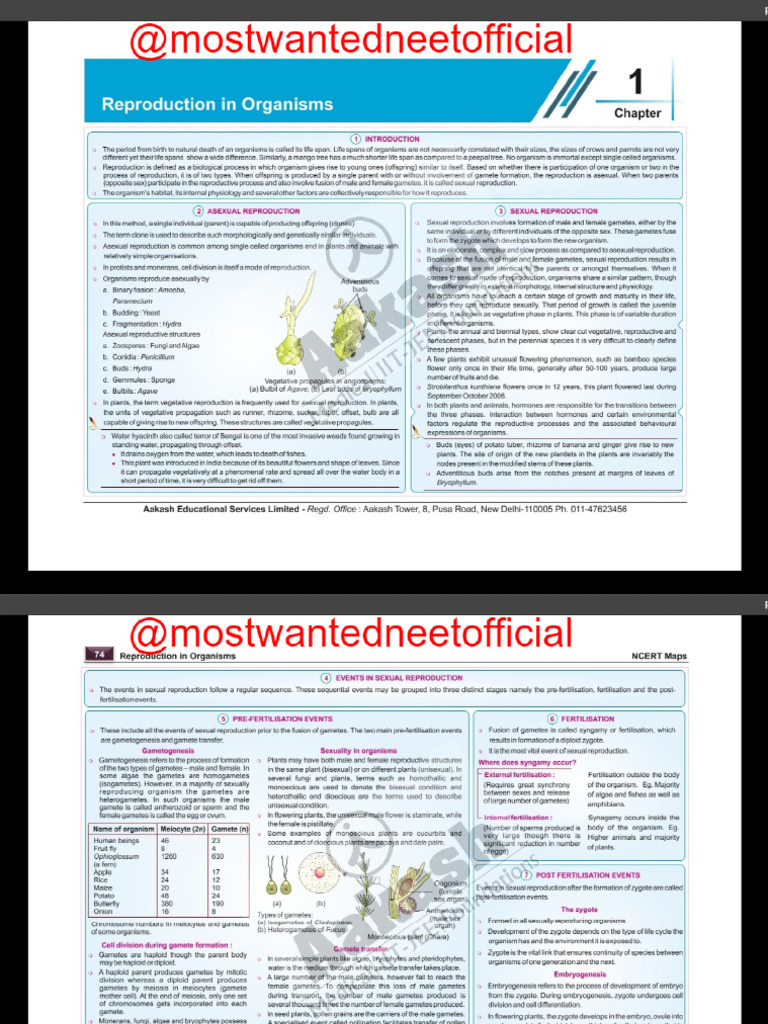 NCERT MAPS Botany Class 12th | PDF