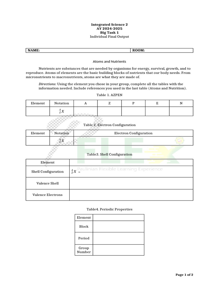 Big Task 1 Final Output 24-25 | PDF