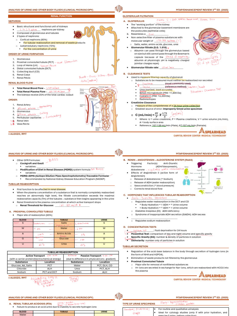 Renal Function: o o o o | PDF | Kidney | Urinary System