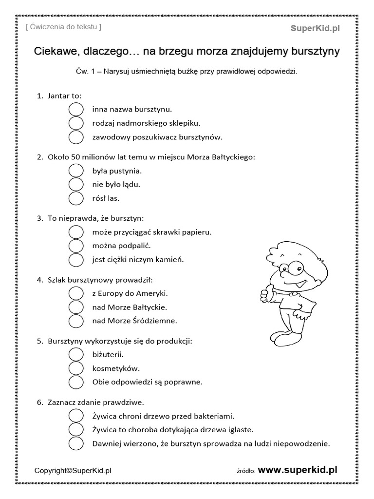 Dlaczego Na Brzegu Morza Znajdujemy Bursztyny Cw1 | PDF