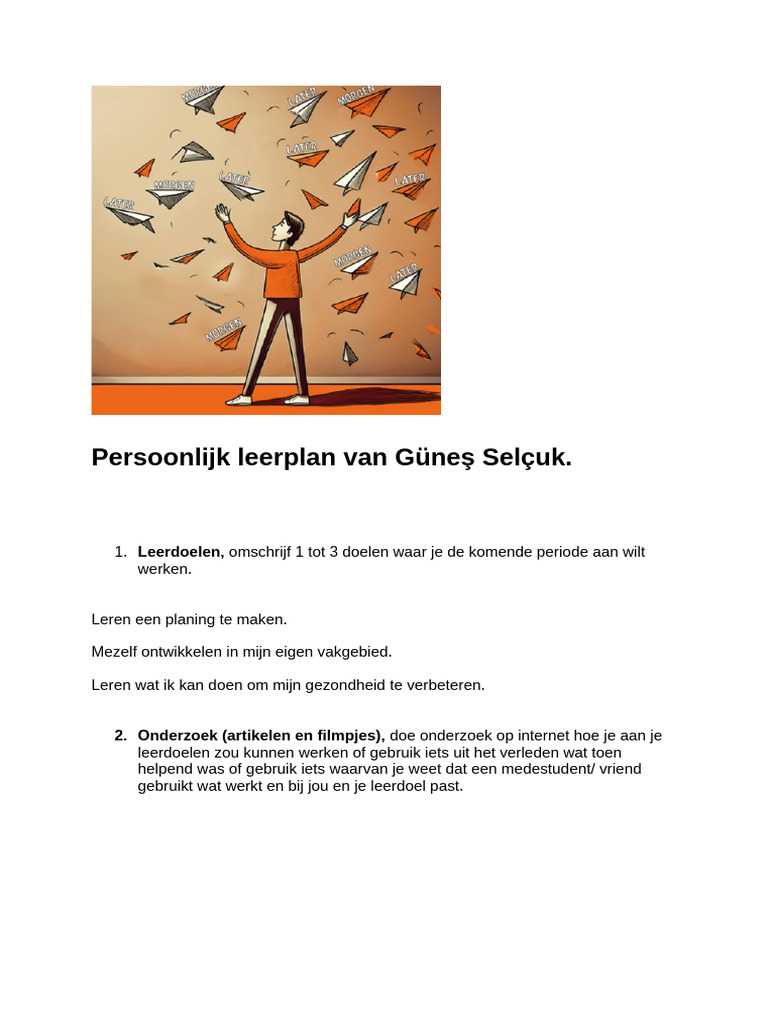 Persoonlijk Leerplan - Naam | PDF