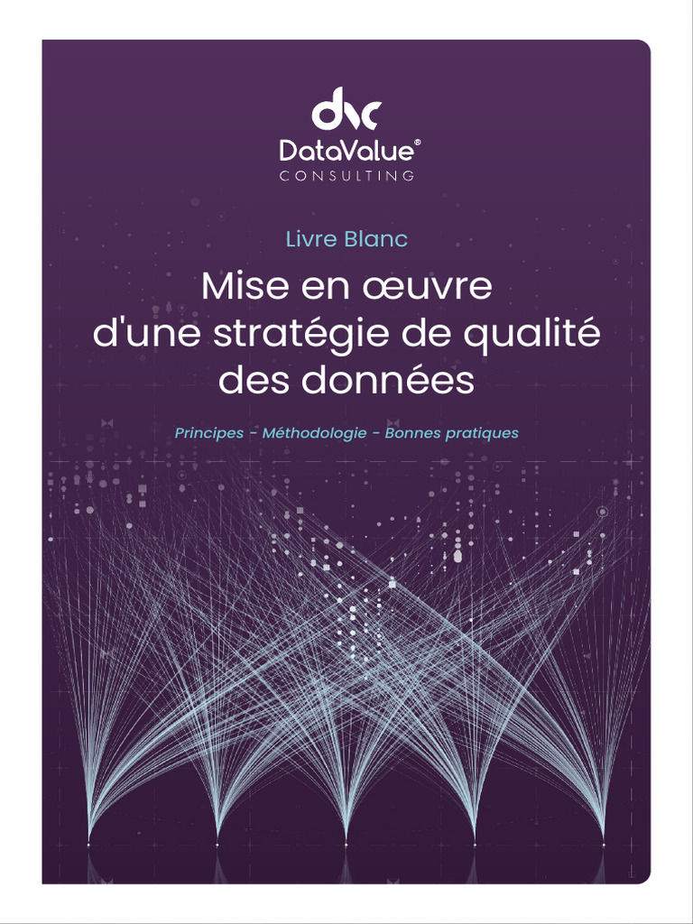 Livre Blanc - Mise en Oeuvre Dune Stratégie de Qualité Des Données ...