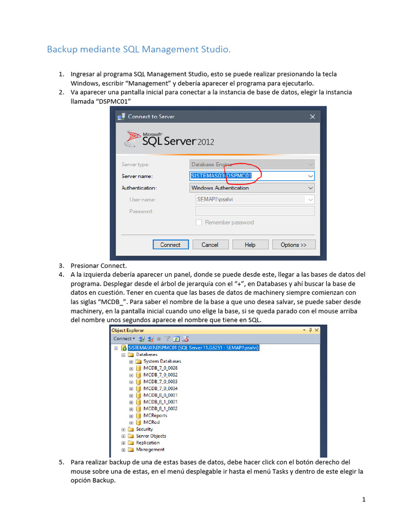 Backup Mediante SQL Management Studio | PDF | Servidor SQL de Microsoft ...