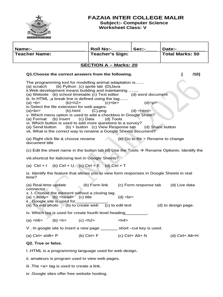 Computer Final Term Worksheet 2026 - Class 5 | PDF | Websites | Html