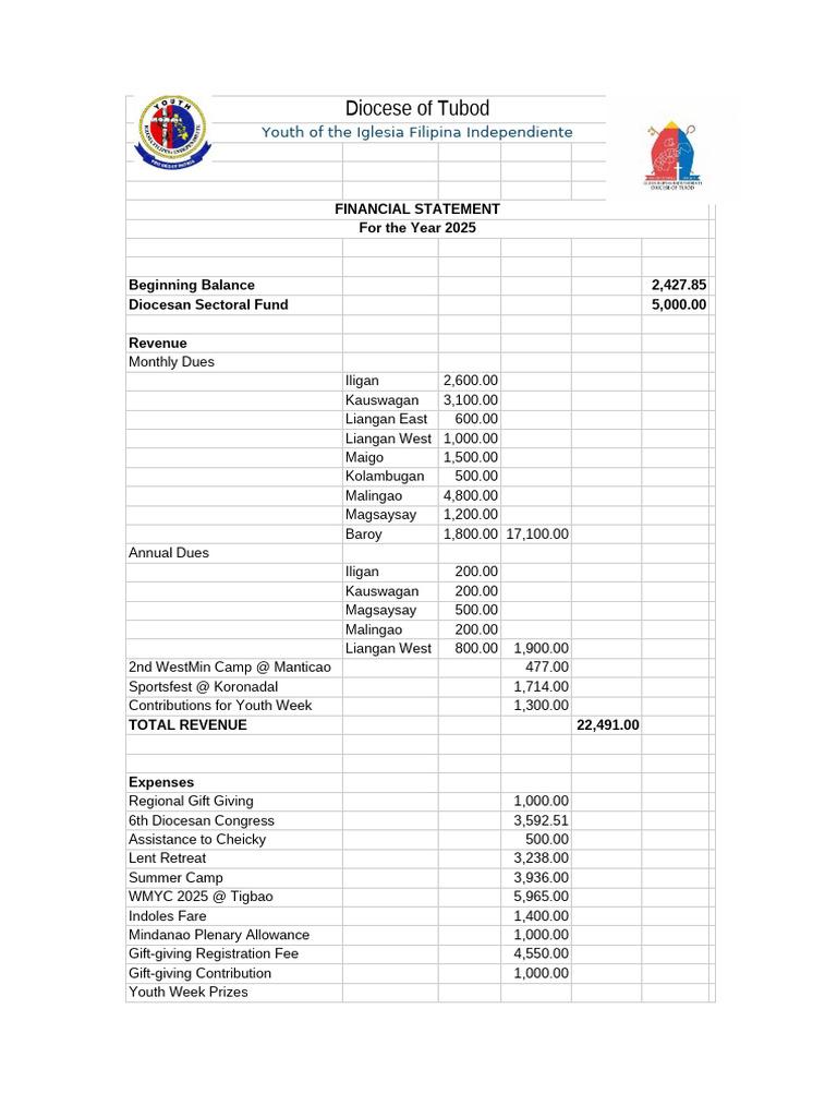 2025 FS | PDF | Financial Accounting | Income Statement
