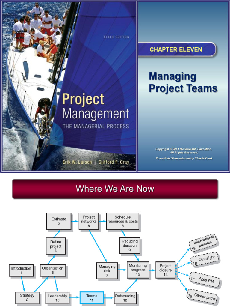 Managing Project Teams | PDF | Social Psychology | Psychology