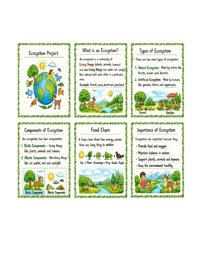 Ecosystem Project | PDF