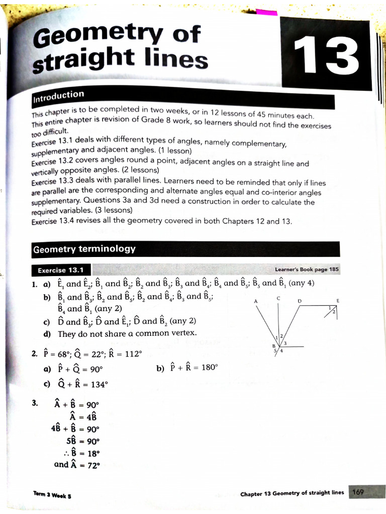 CH 13 - Geometry of Straight Lines | PDF