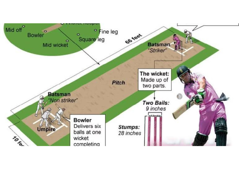 Cricket Basics | PDF