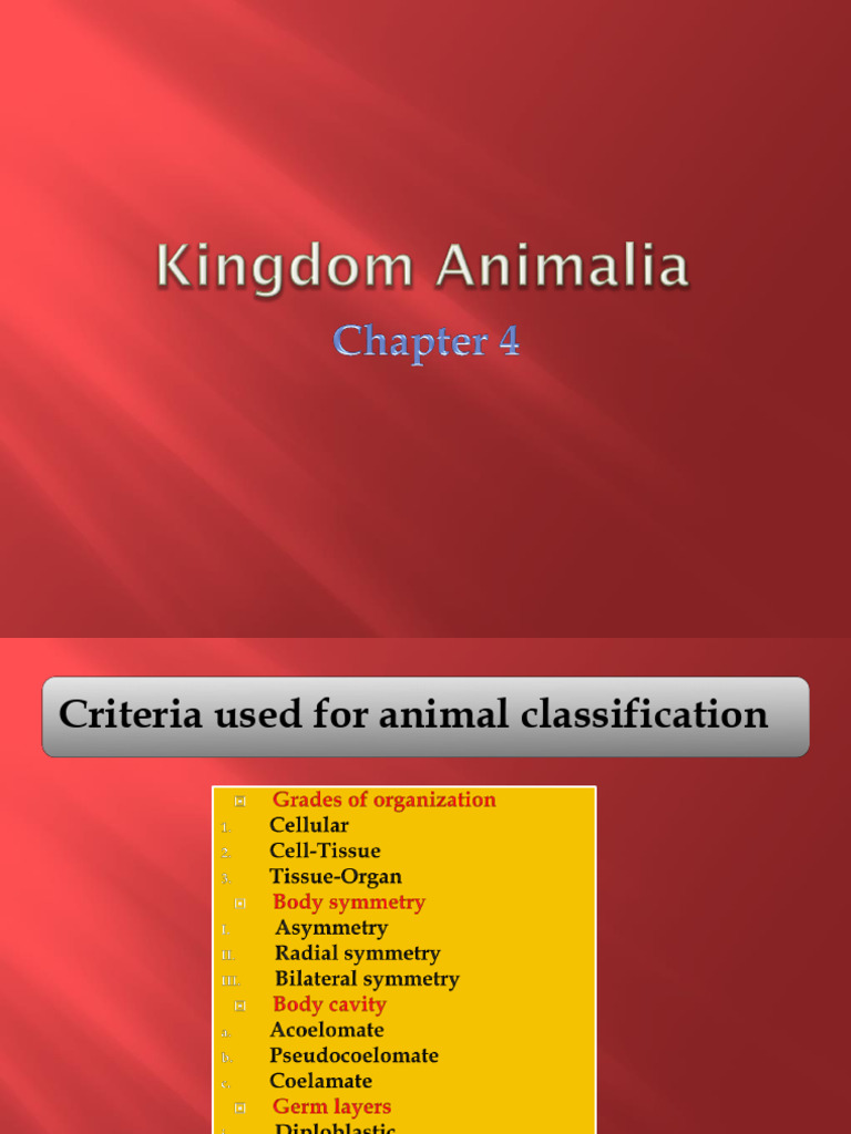 KINGDOM ANIMALIA-Chapter 4 | PDF | Sponge | Mollusca
