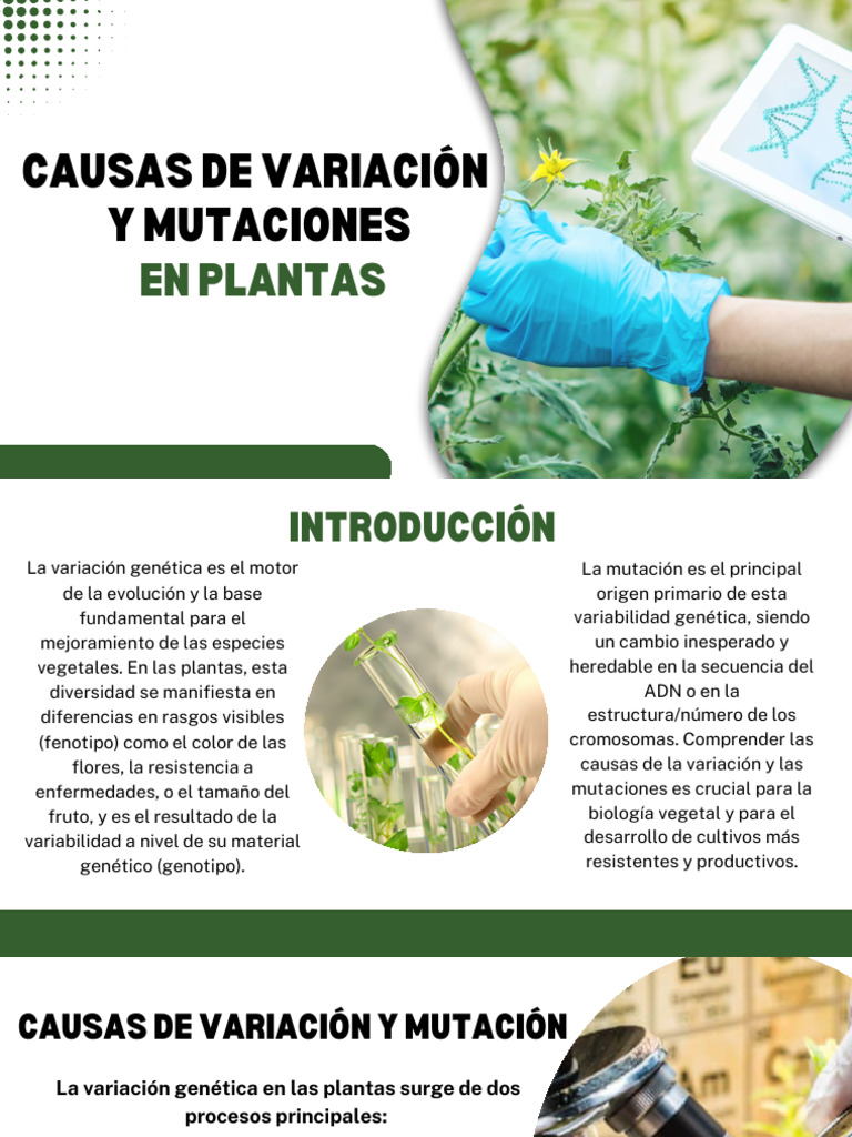 Presentación variación y mutaciones | PDF