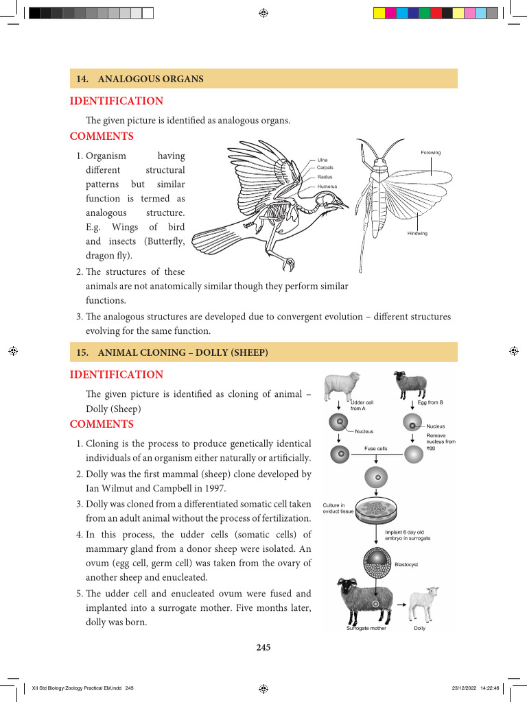 Class 12 Bio Zoology English Medium-2024 Edition-www.tntextbooks.in (1 ...