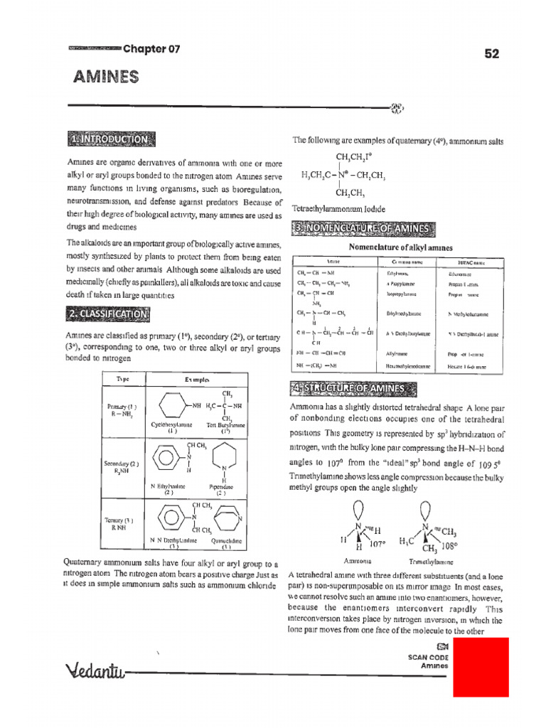 2025 26 Jee Vedantu Tatva 12 Chem v2 Amine Rev | PDF