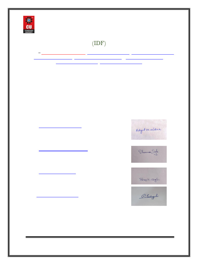 Sample IDF Filled Form | PDF | Brush | Usability