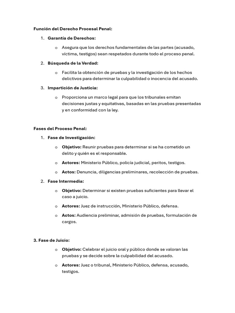 Función Del Derecho Procesal Penal PARCIAL | PDF | Debido al proceso ...