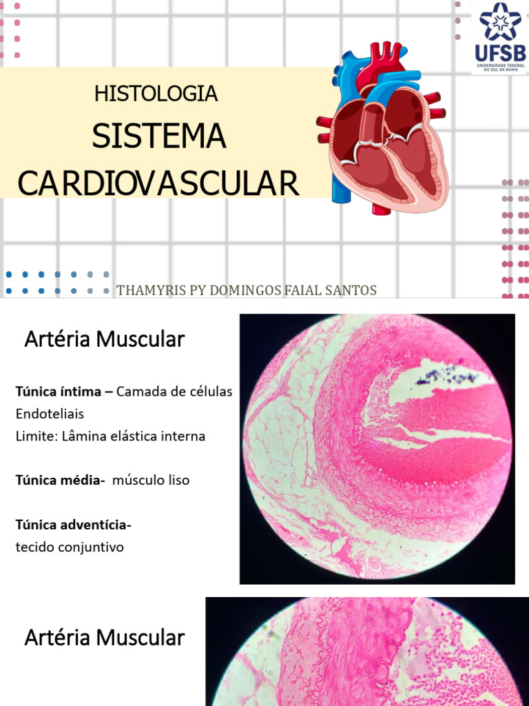 Revisão - Aula Histologia Cardio | PDF