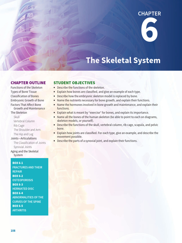Chapter 6 The Skeletal System | PDF | Bone | Osteoblast