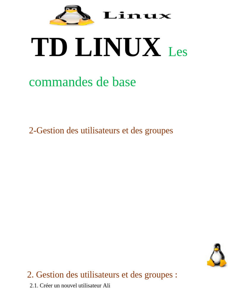 TD 2 Linux - Correction | PDF