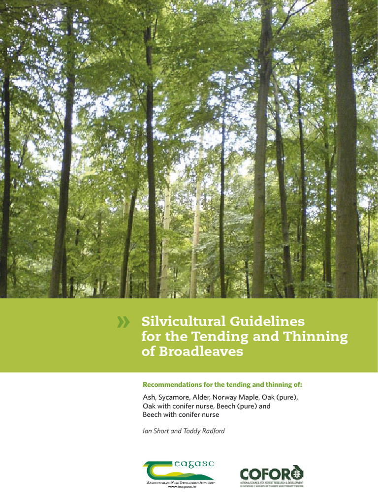 Teagasc Silvicultural Guidelines Broadleaves 2 | PDF | Pruning | Forests