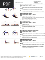 Quadruped Exercise Guide for Rehabilitation | PDF | Anatomical Terms Of ...
