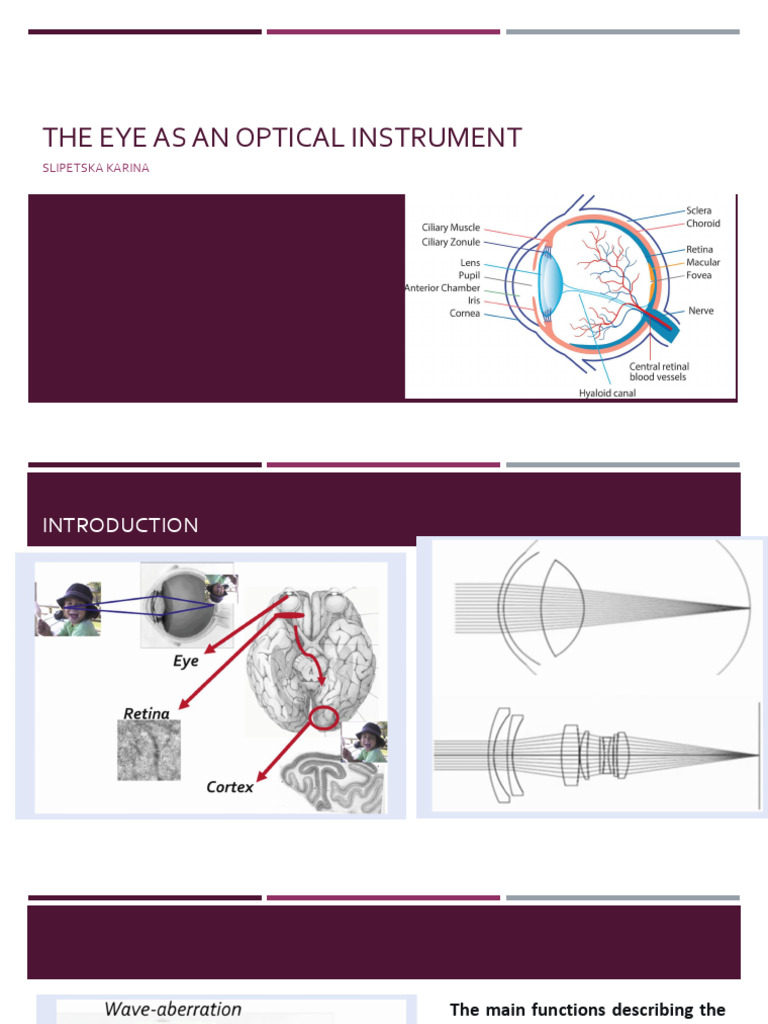 The Eye As An Optical Instrument | PDF