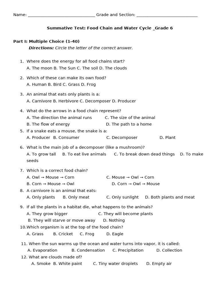 Summative Food Chain Water Cycle | PDF | Precipitation | Evaporation