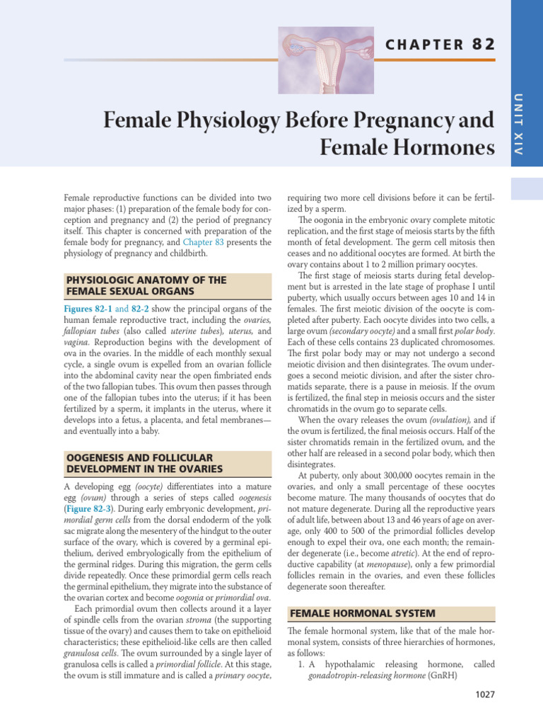 Female Physiology | PDF | Luteinizing Hormone | Menstrual Cycle