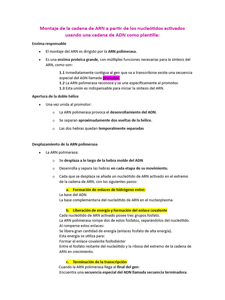 Resumen Del Capitulo 3 | PDF | Rna | Traducción (biología)