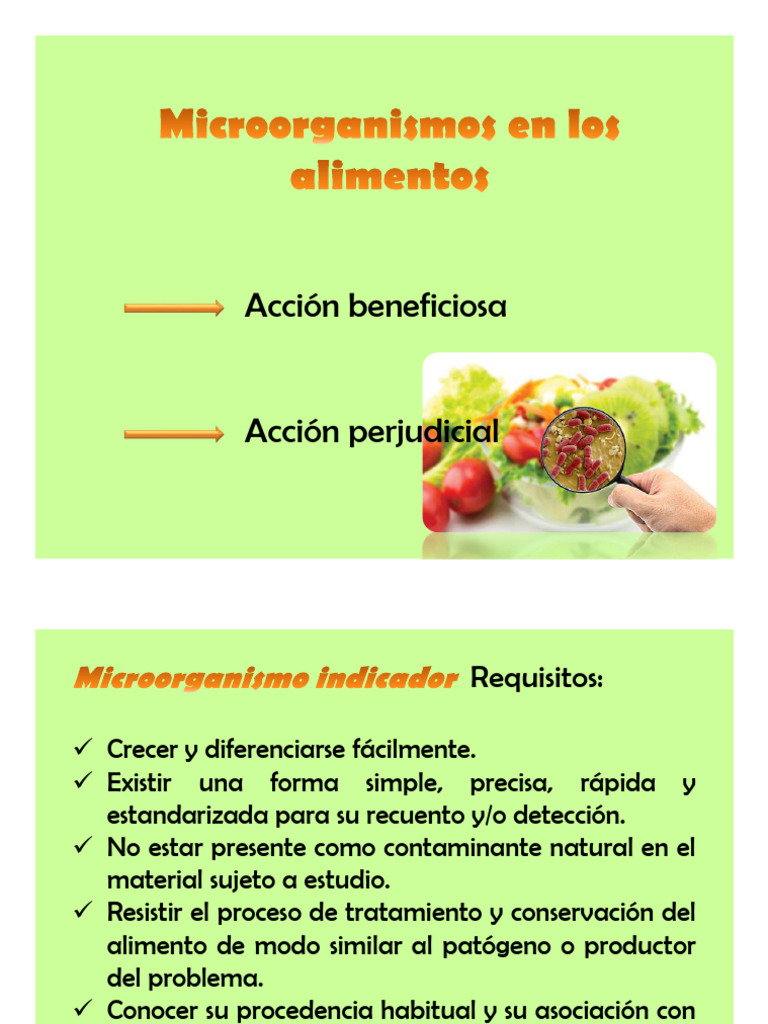 Microorganismos en Los Alimentos. Diapositivas 2024 | PDF | Escherichia ...