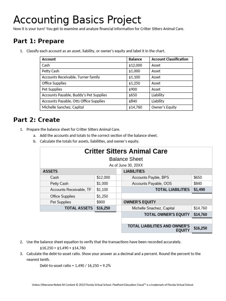 Accounting - Basics - Project Final | PDF | Balance Sheet | Equity ...