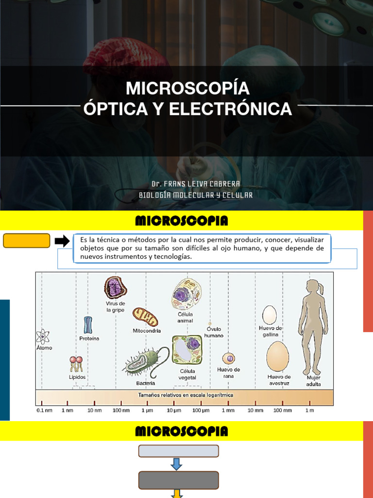 S01 - Microscopía | PDF | Lente de la cámara | Microscopio