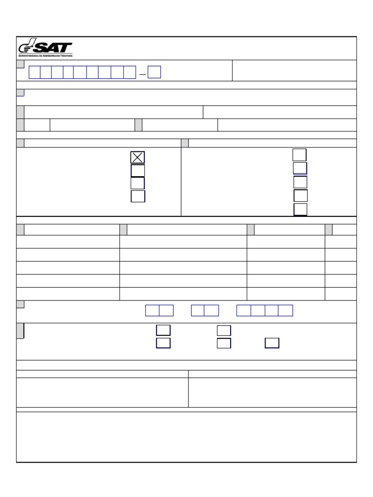 Formulario Sat 452 Editable 1 | PDF
