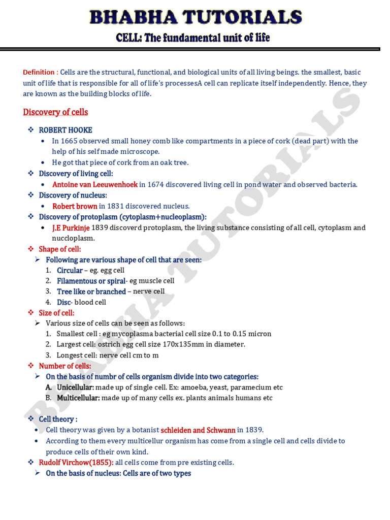 chapter cell notes | PDF | Endoplasmic Reticulum | Cell (Biology)