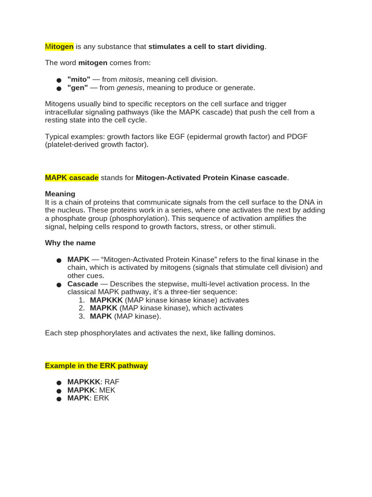 Mitogen & MAPK Cascade | PDF
