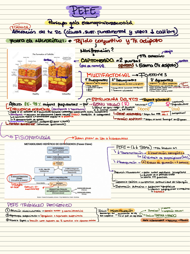 PEFE-TDC-TXADIP-MENOPAUSIA | PDF