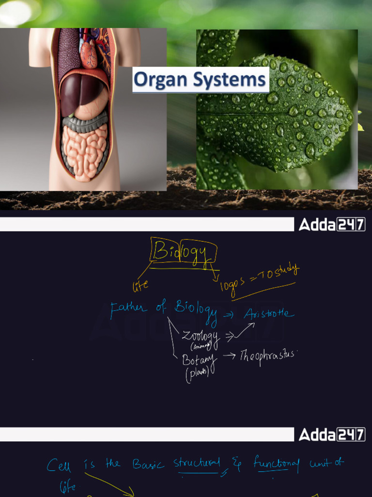 LC | PDF