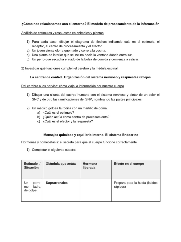 Módulo Biología 3°1° | PDF | Sistema endocrino | Hormona