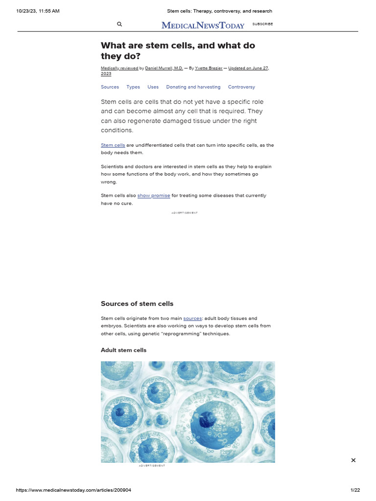 Stem Cells - Therapy, Controversy, and Research | PDF | Stem Cell ...