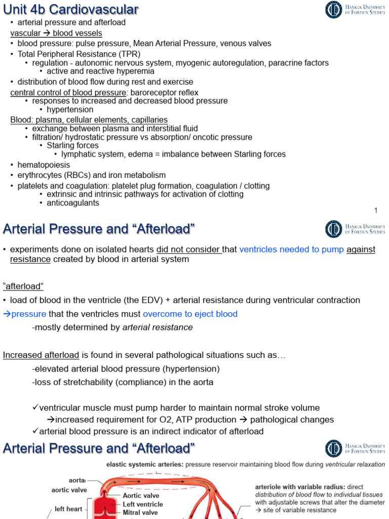 Unit4b Cardiovascular System | PDF | Coagulation | Blood Pressure