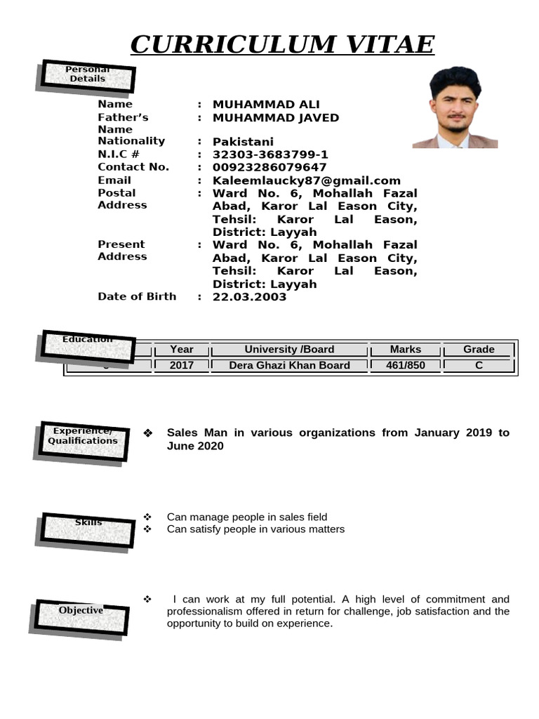 CV Ali | PDF