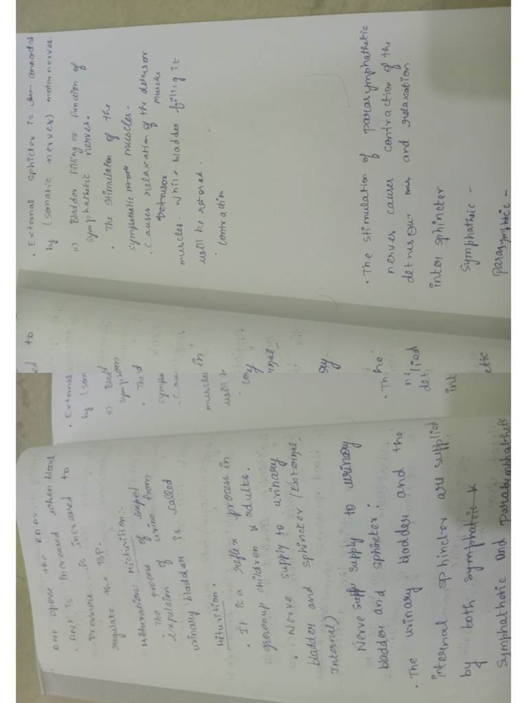 bio notes chemical control and coordination | PDF