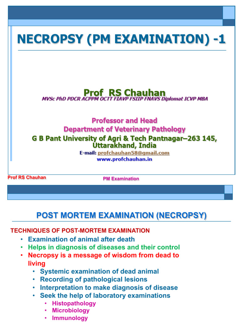 Necropsy (Post Mortem Examination) Note | PDF | Autopsy | Thrombus