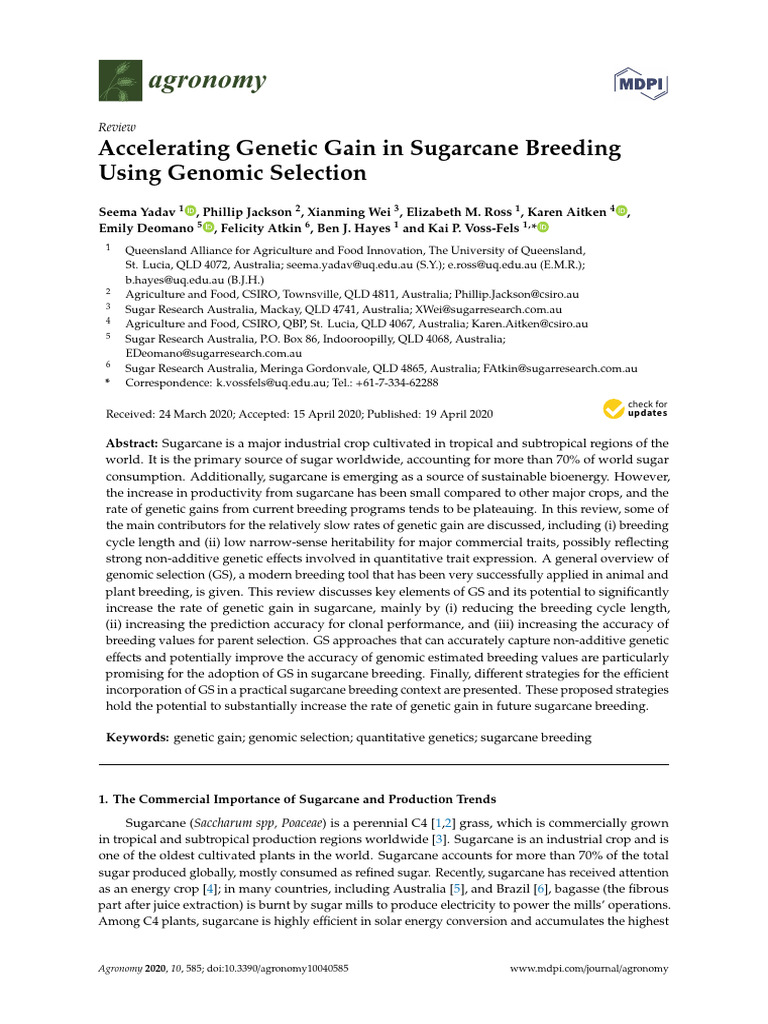 Accelerating Genetic Gain in Sugarcane Breeding Using Genomic Selection ...
