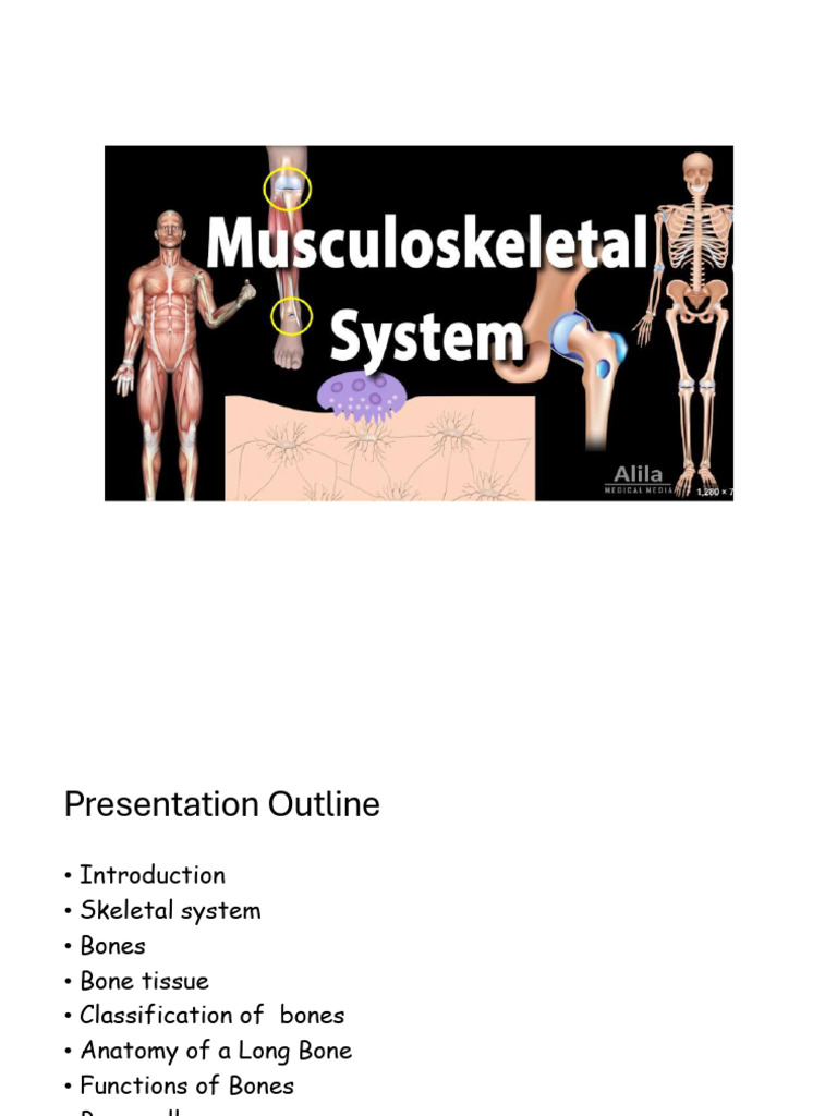 Musculoskeletal Sys | PDF