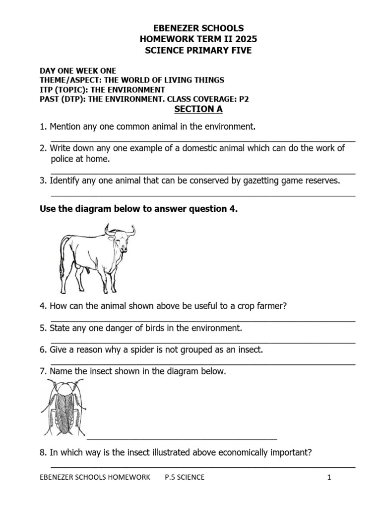 P.5 SCIENCE | PDF | Seed | Mulch
